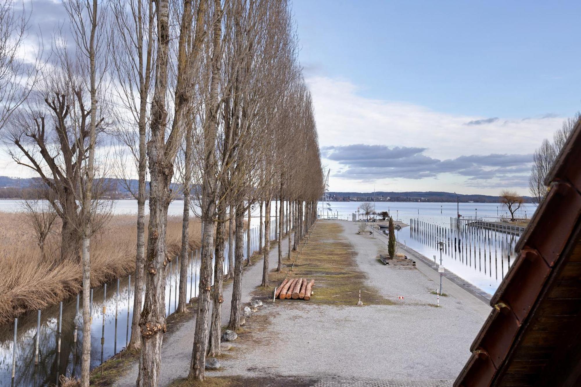 Untersee Appartements Moos  Exterior foto